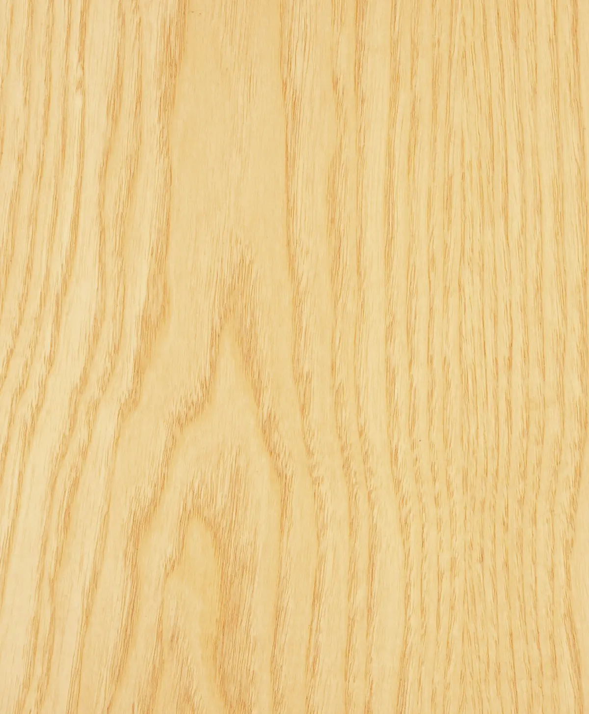 Photo of material Ash Natural